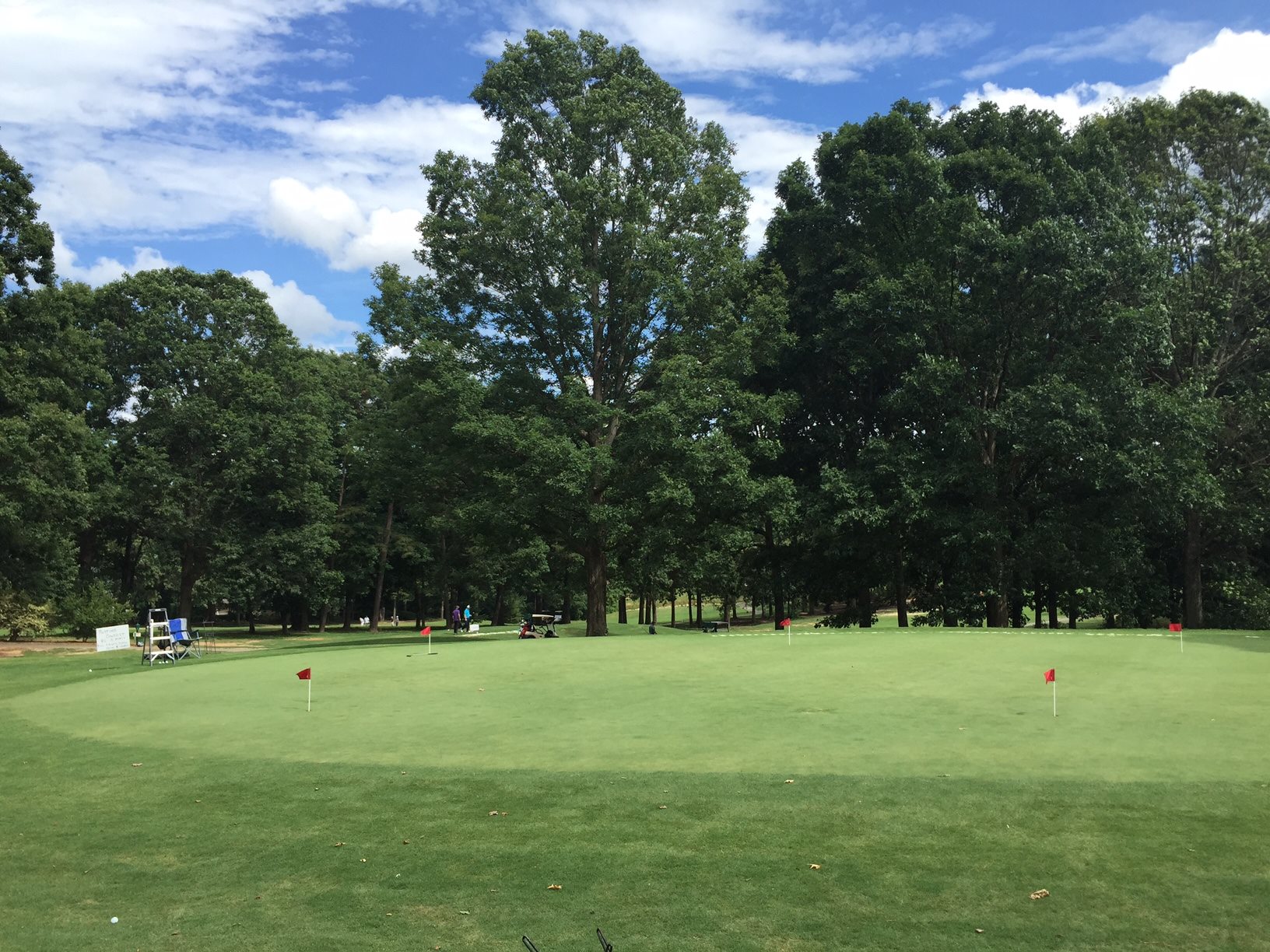 Golf course green