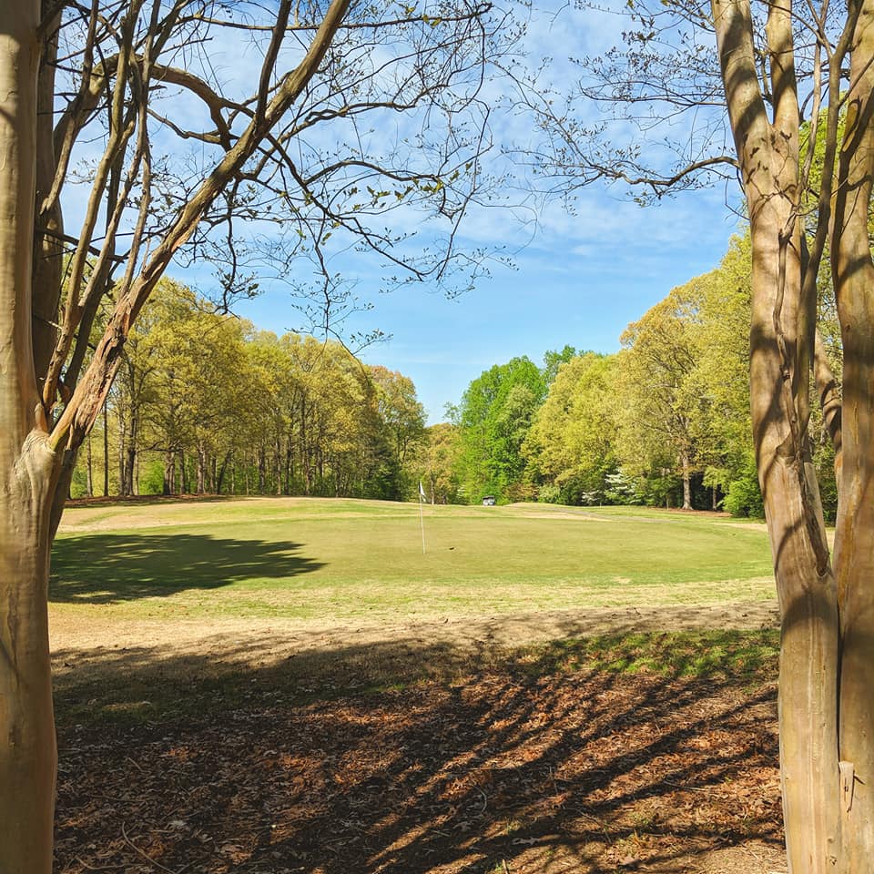 View of golf course between trees
